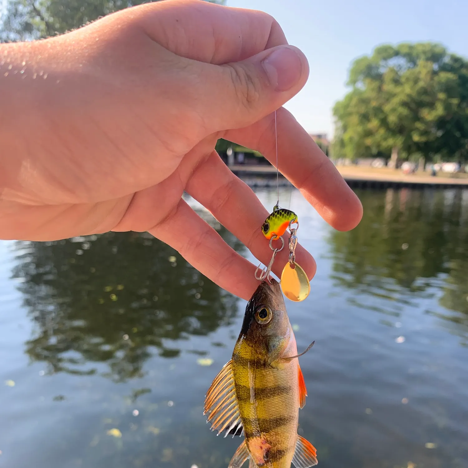 catch