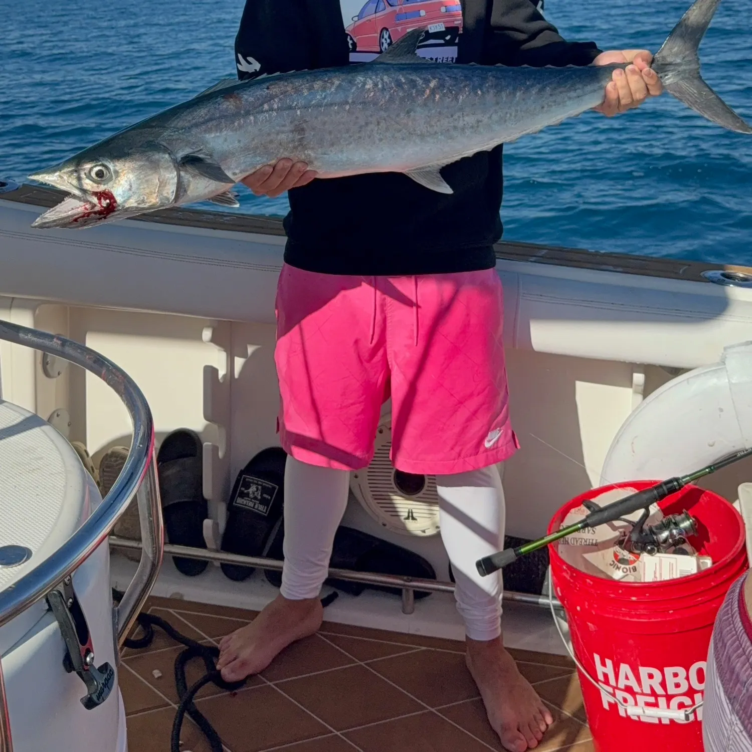 The most recent King mackerel catches on Fishbrain