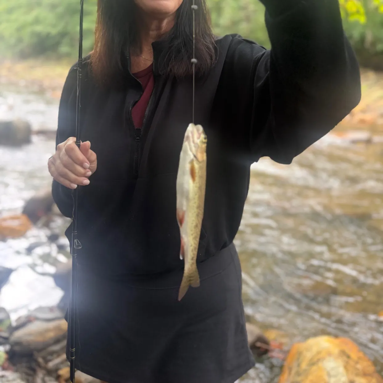 Brown trout caught on Fishbrain