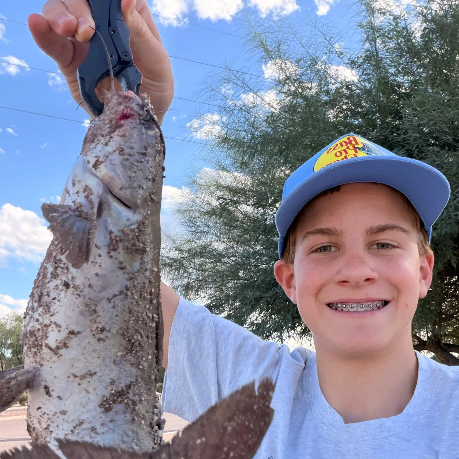 Channel catfish caught on Fishbrain