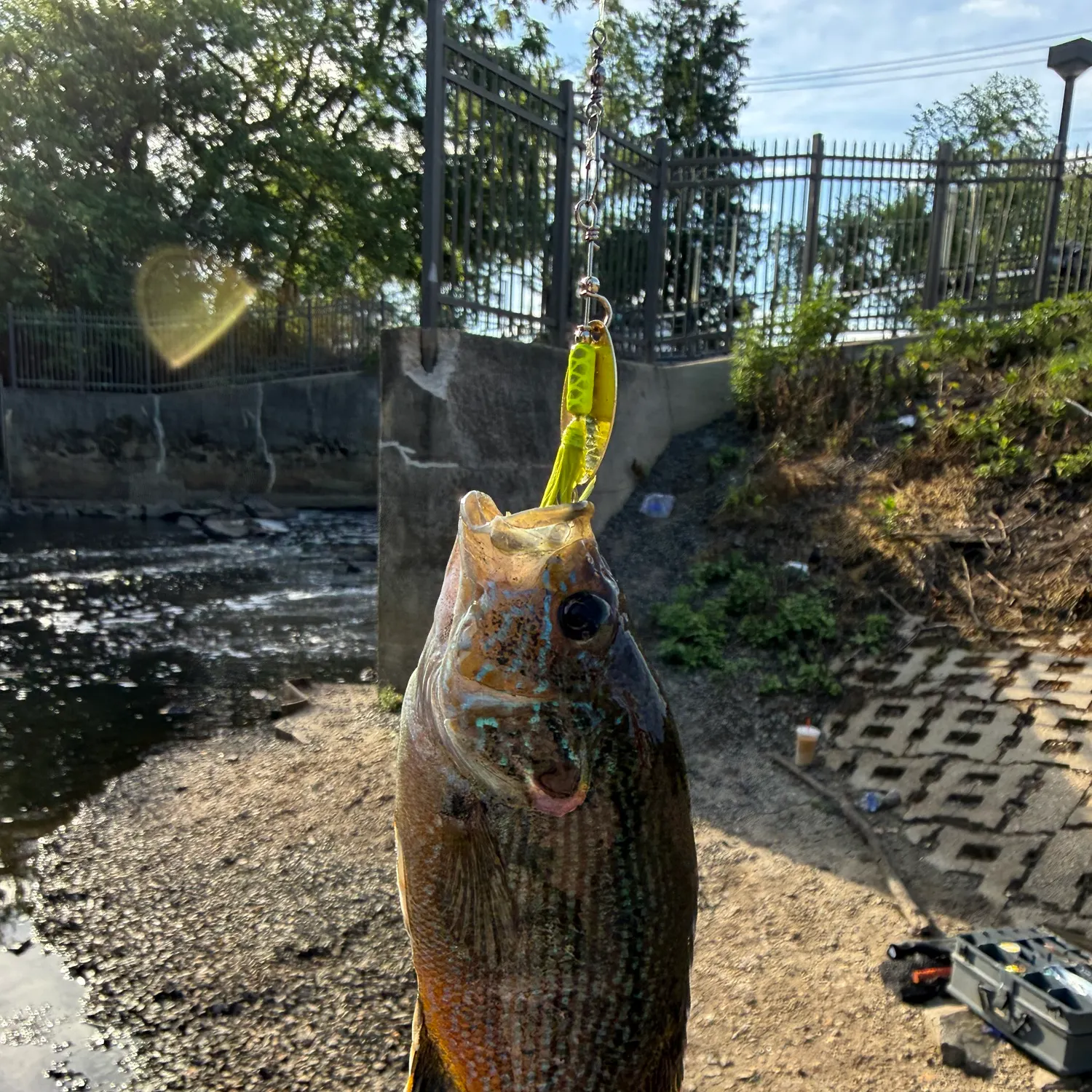 catch