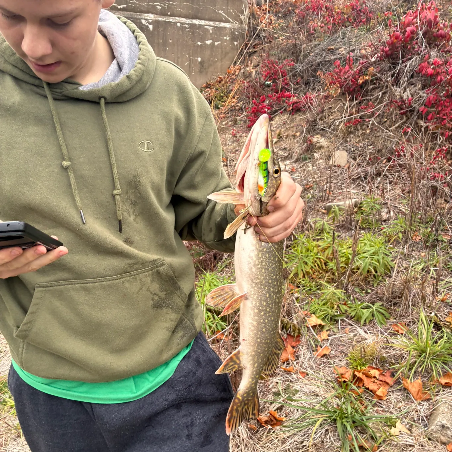 recently logged catches