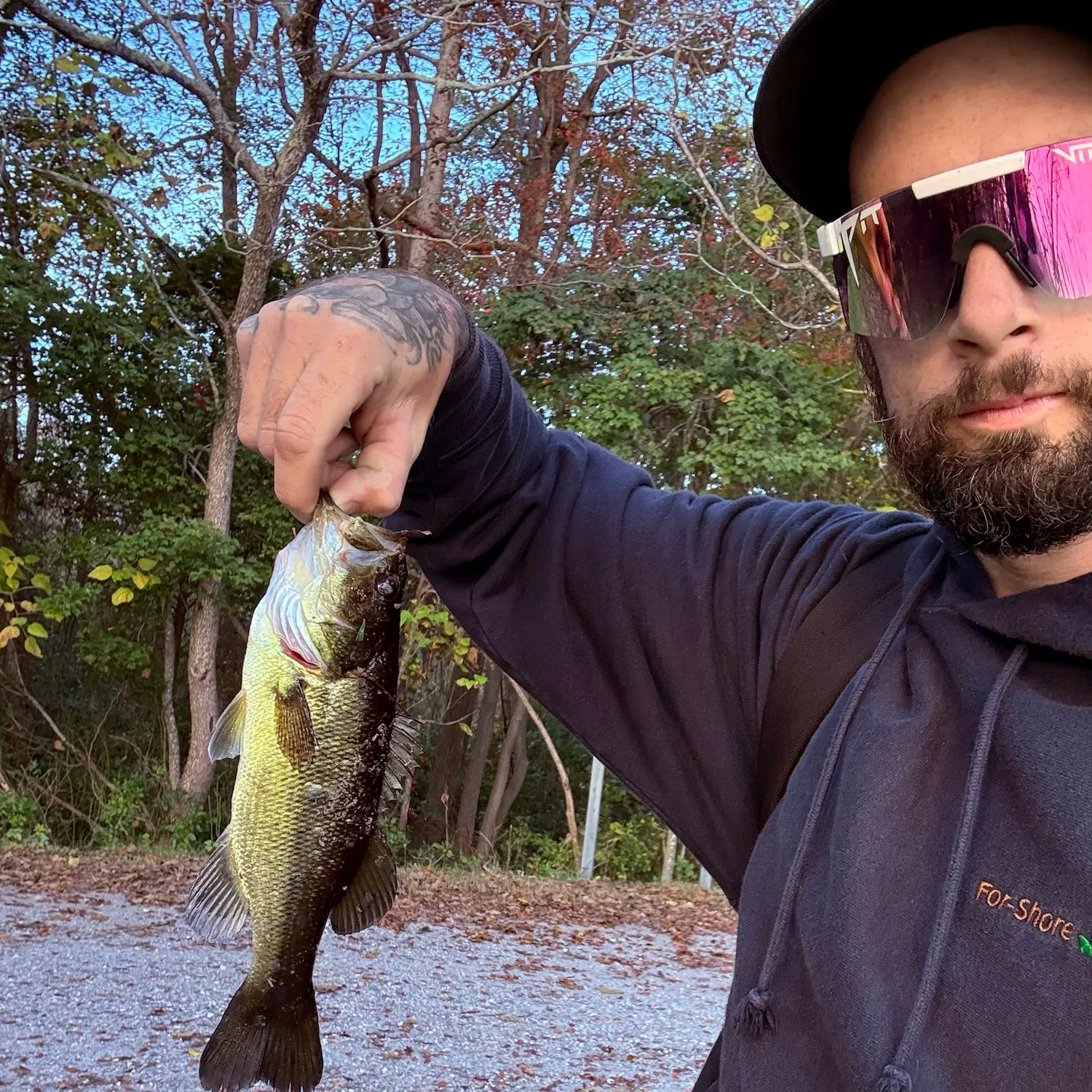Largemouth bass caught on Fishbrain