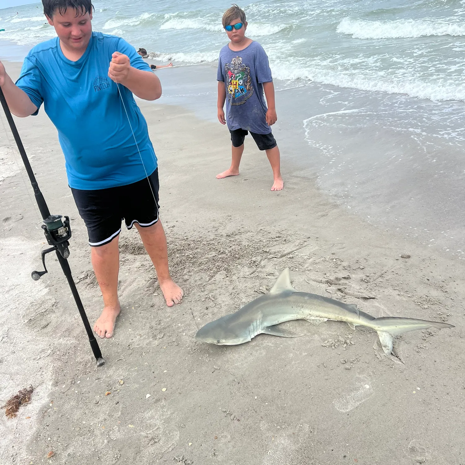 The most recent Nurse shark catches on Fishbrain