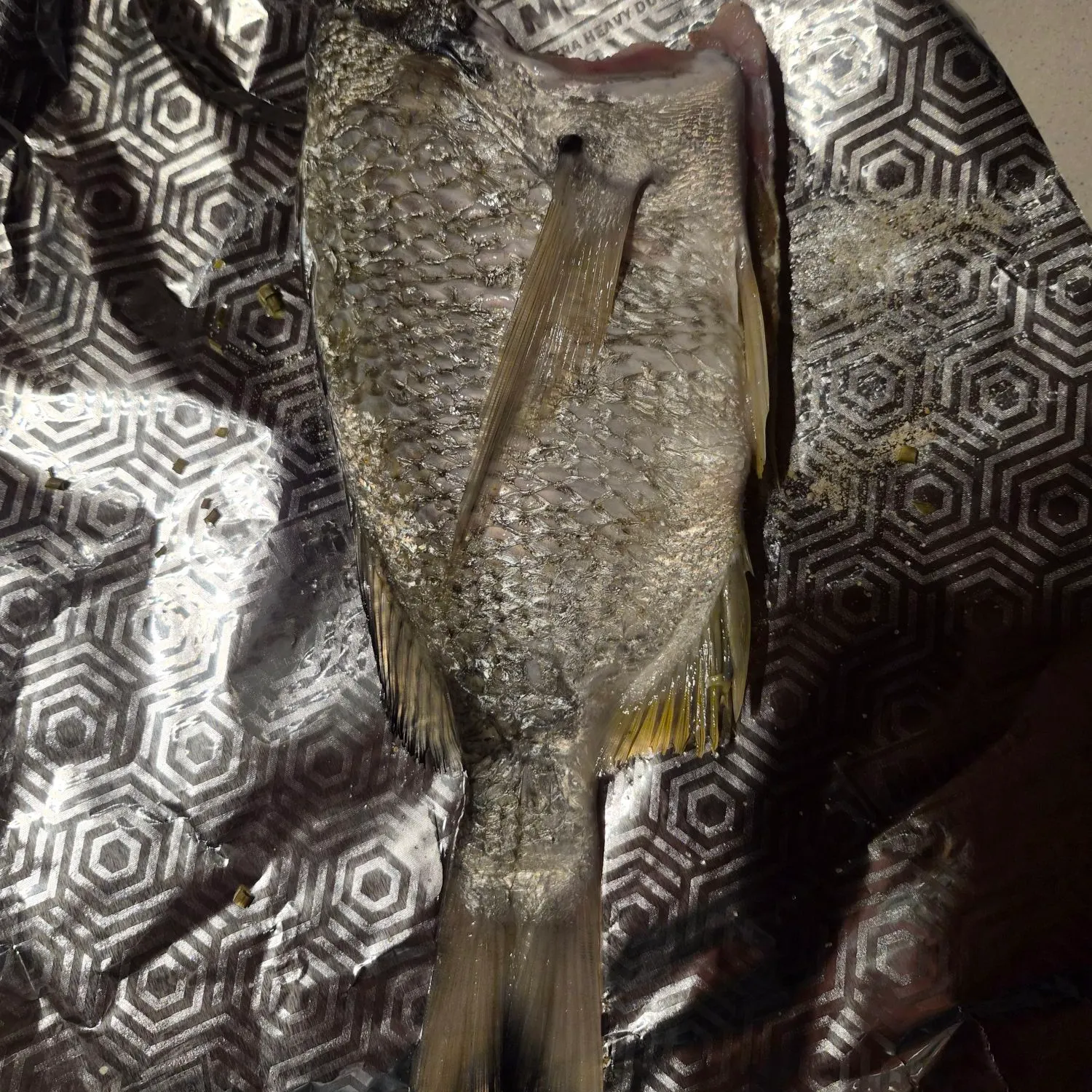 Surf bream caught on Fishbrain