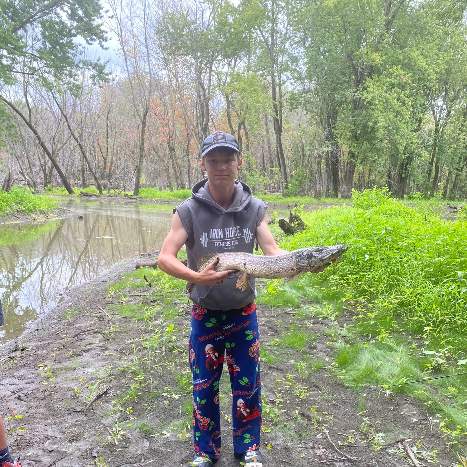 Northern pike caught on Fishbrain