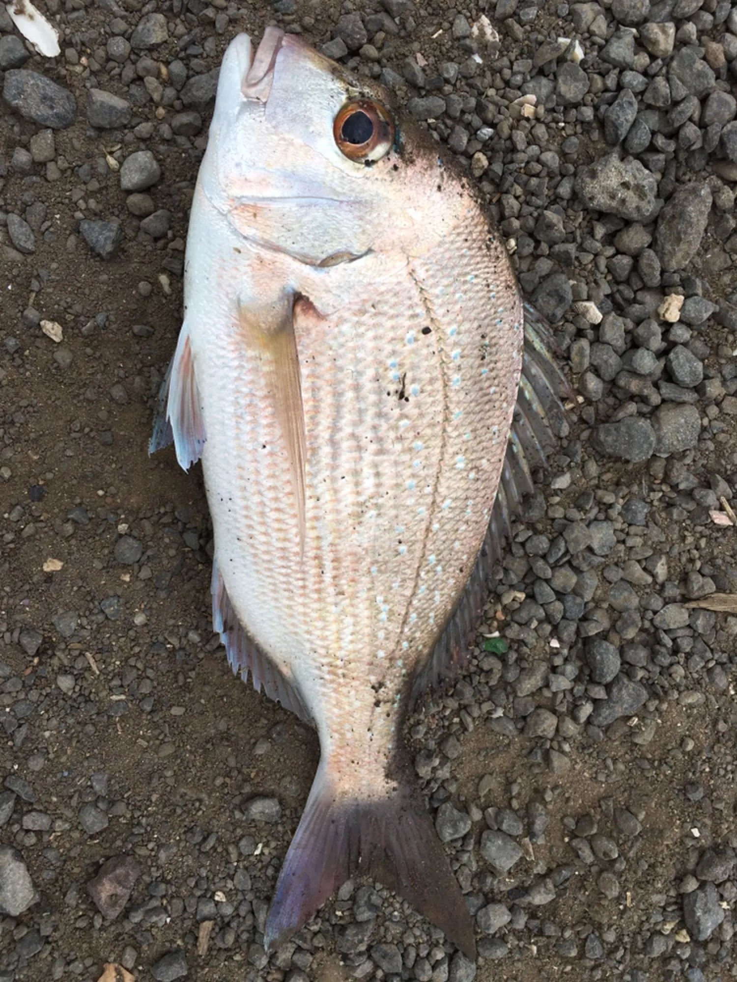 Post image from jessealldridge