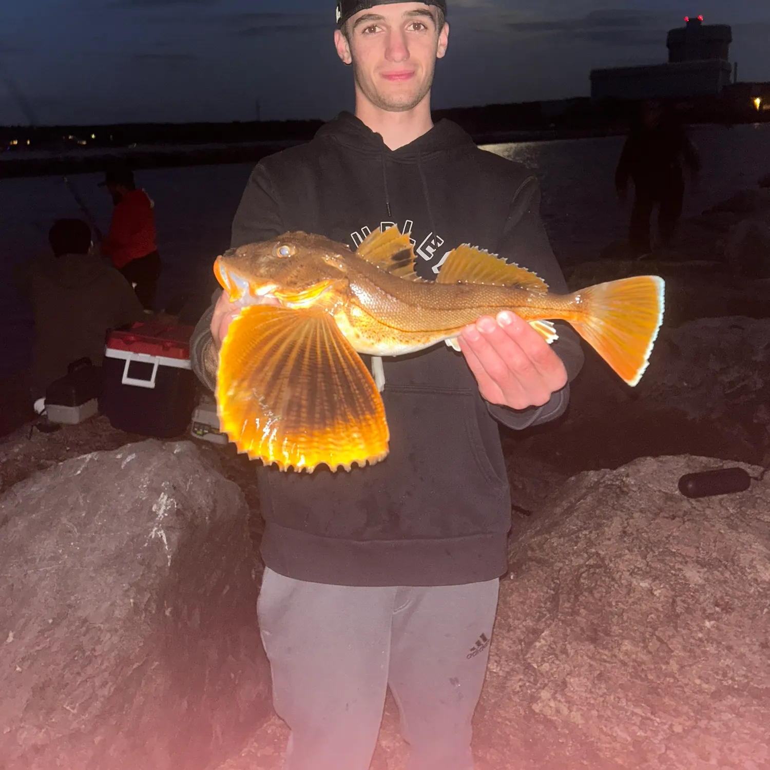 catch