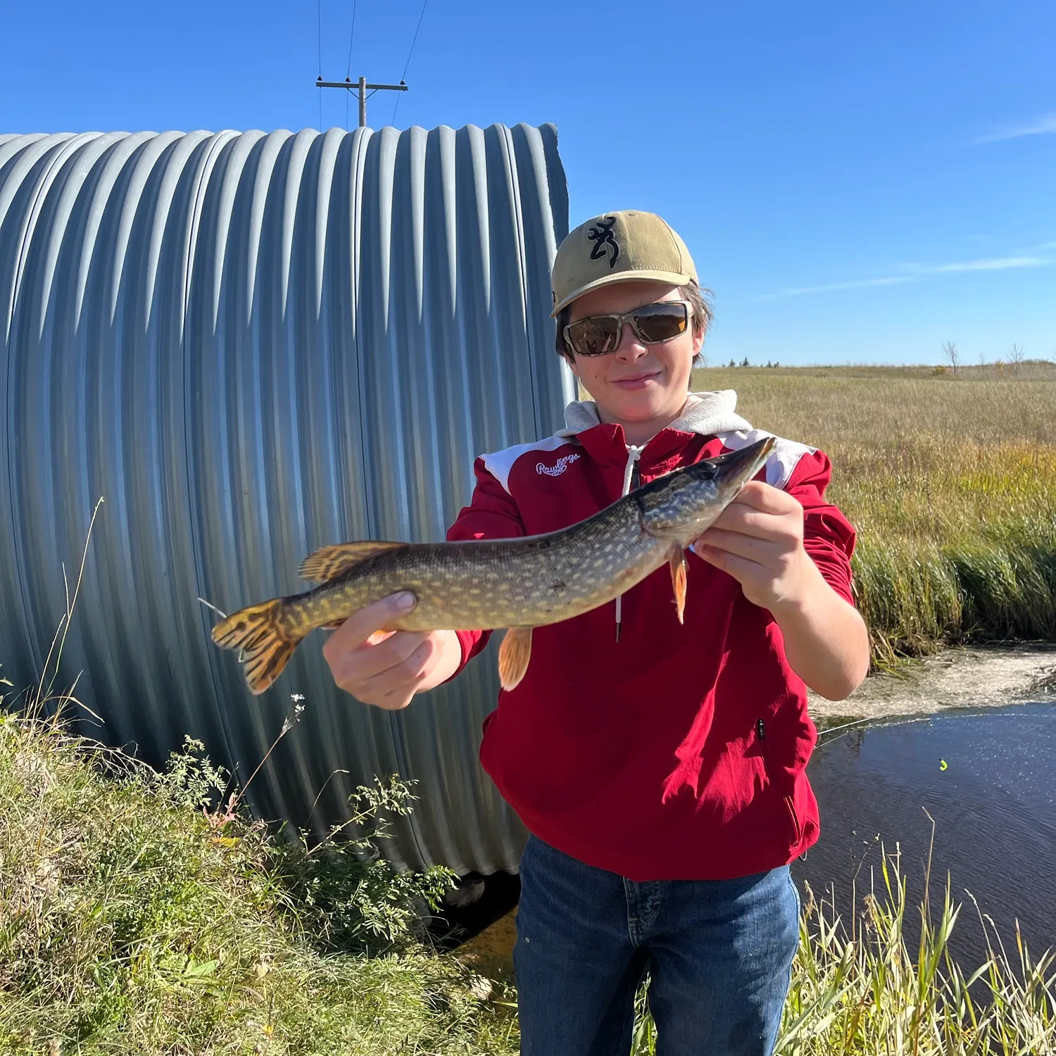 Northern pike caught on Fishbrain