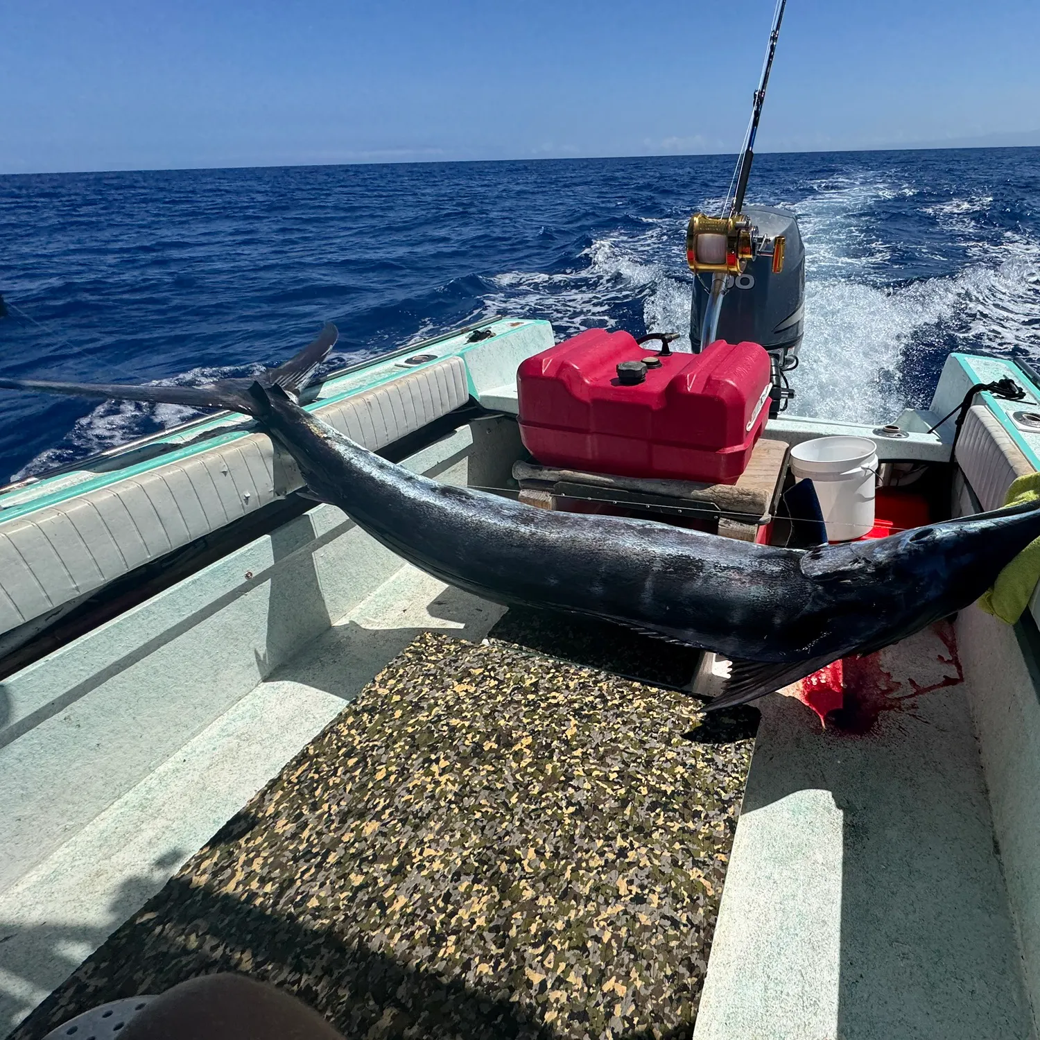 The most recent Indo-Pacific blue marlin catches on Fishbrain