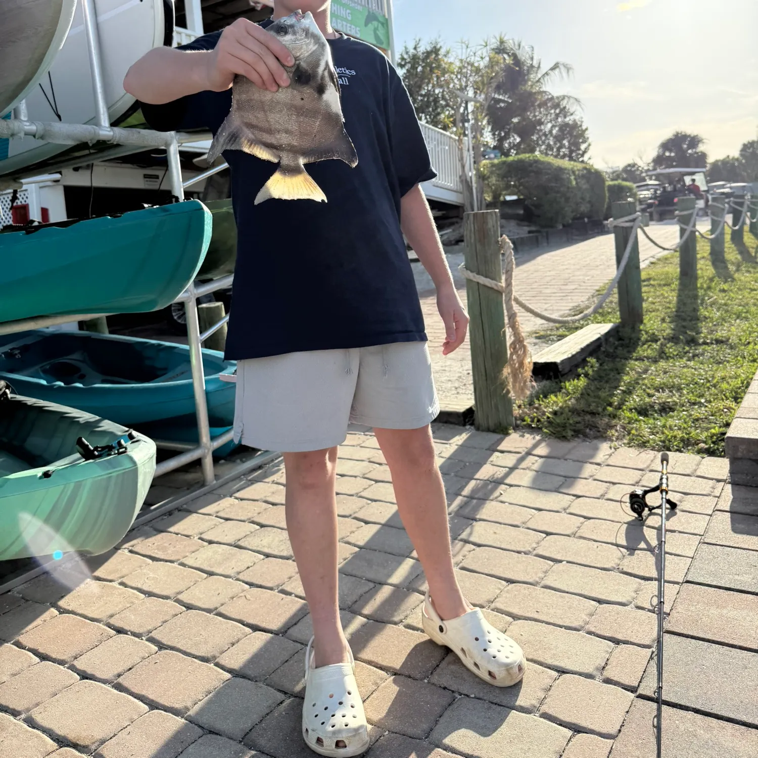 The most recent Atlantic spadefish catches on Fishbrain