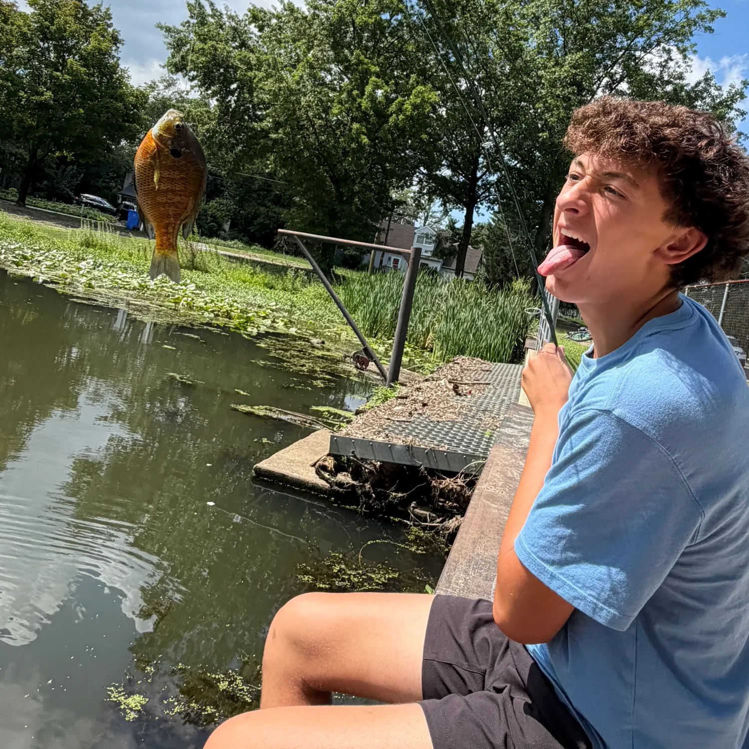 Bluegill caught on Fishbrain