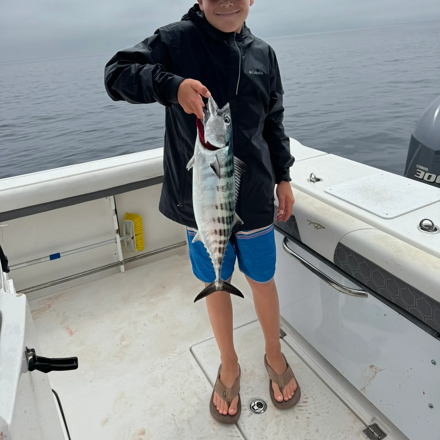The most recent Pacific bonito catches on Fishbrain