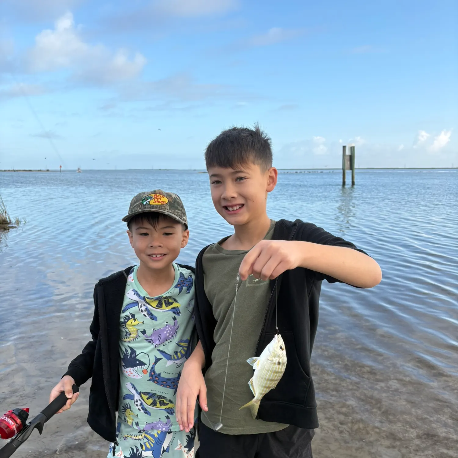 The most recent Pinfish catches on Fishbrain