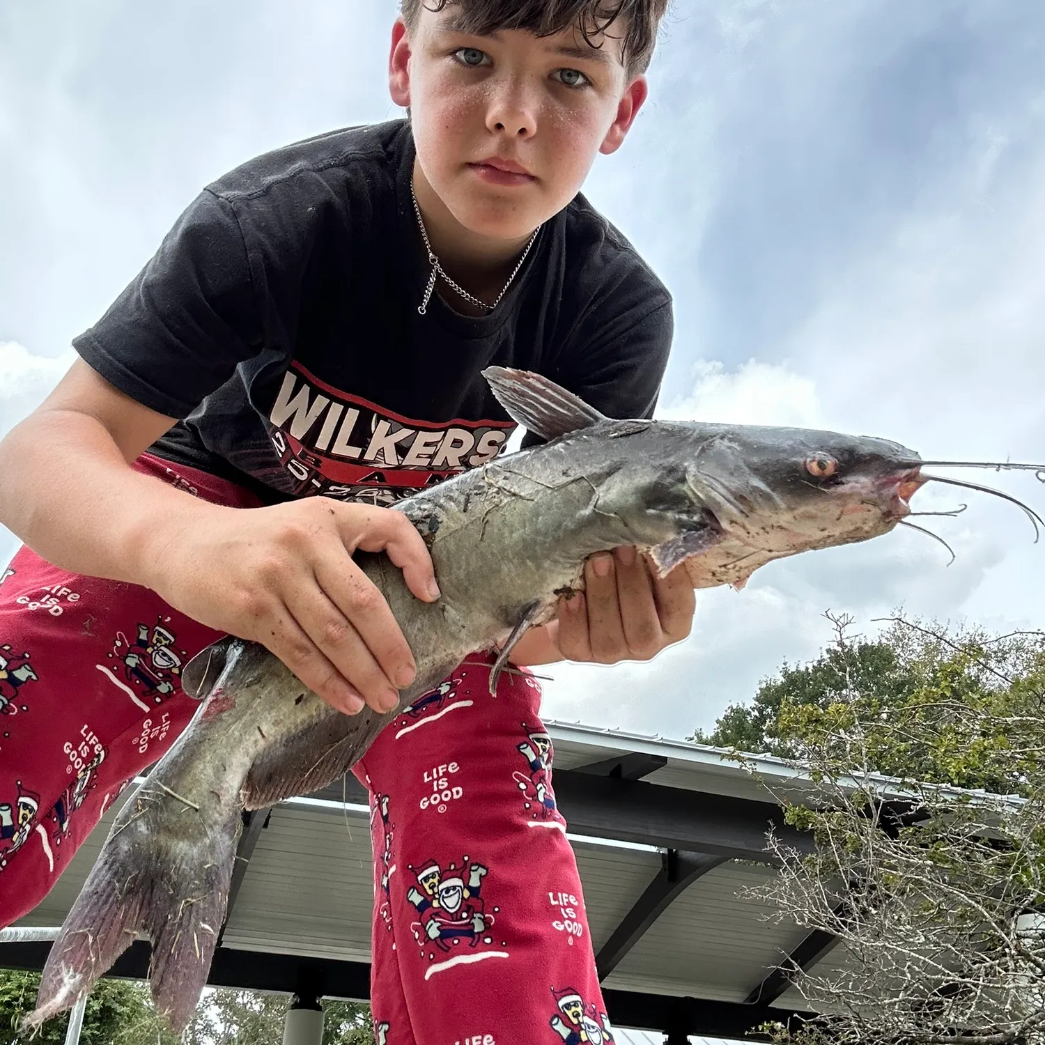 Channel catfish caught on Fishbrain