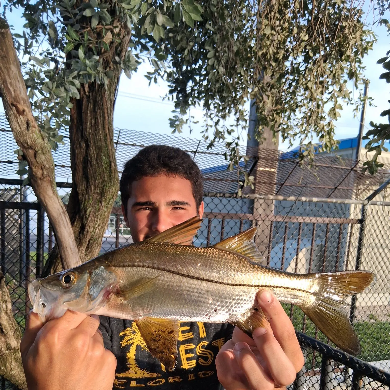 The most recent Tarpon Snook catches on Fishbrain