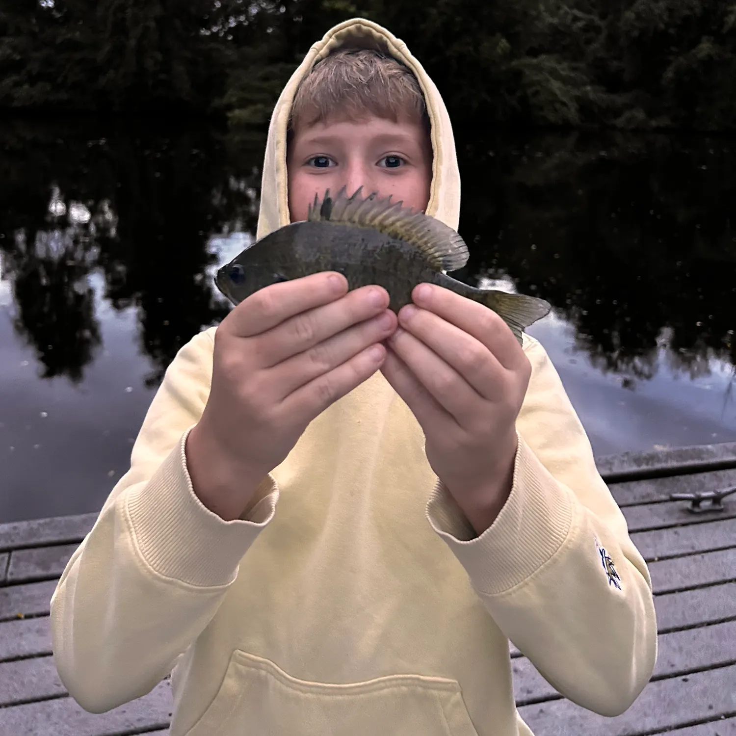 Fish caught on Fishbrain