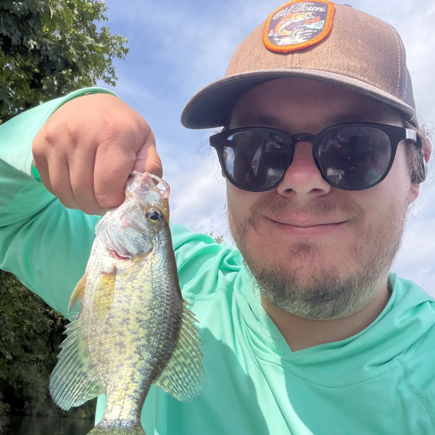 Black crappie caught on Fishbrain