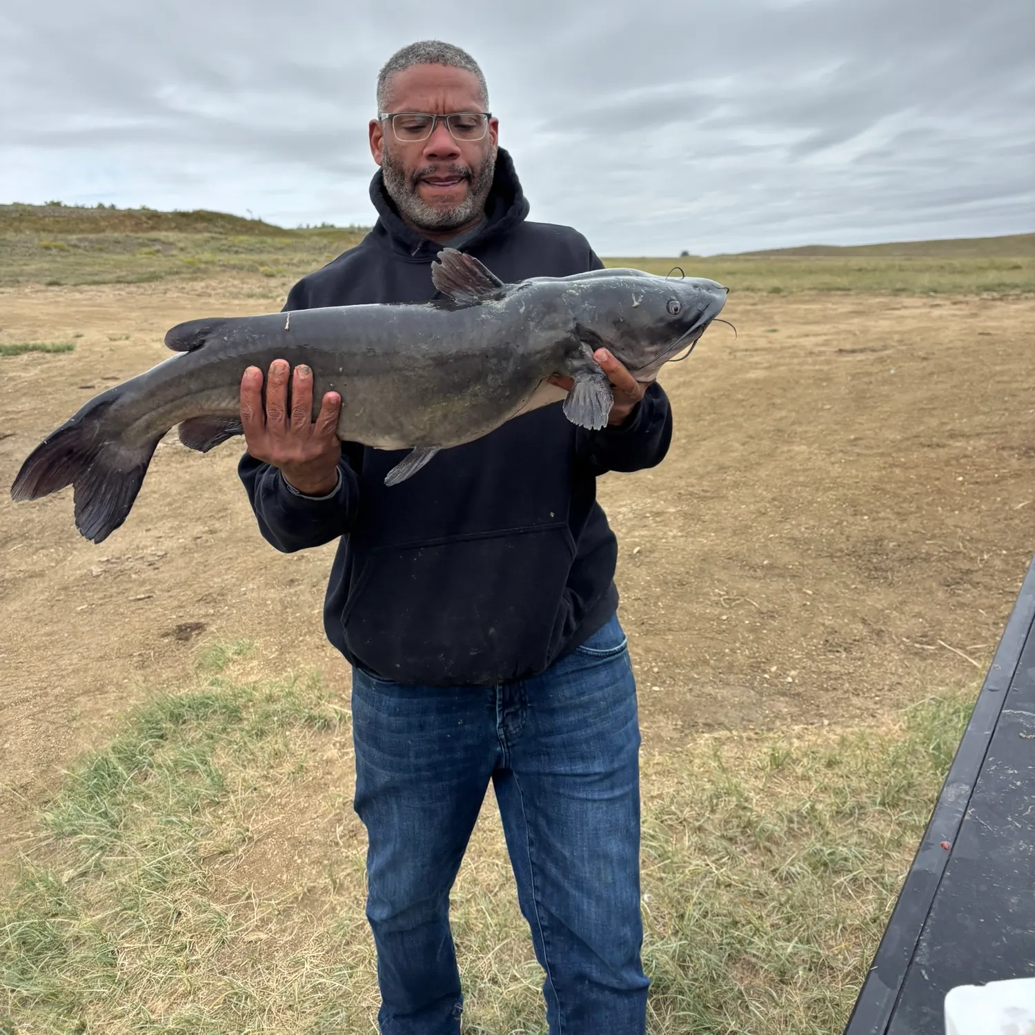 Channel catfish caught on Fishbrain