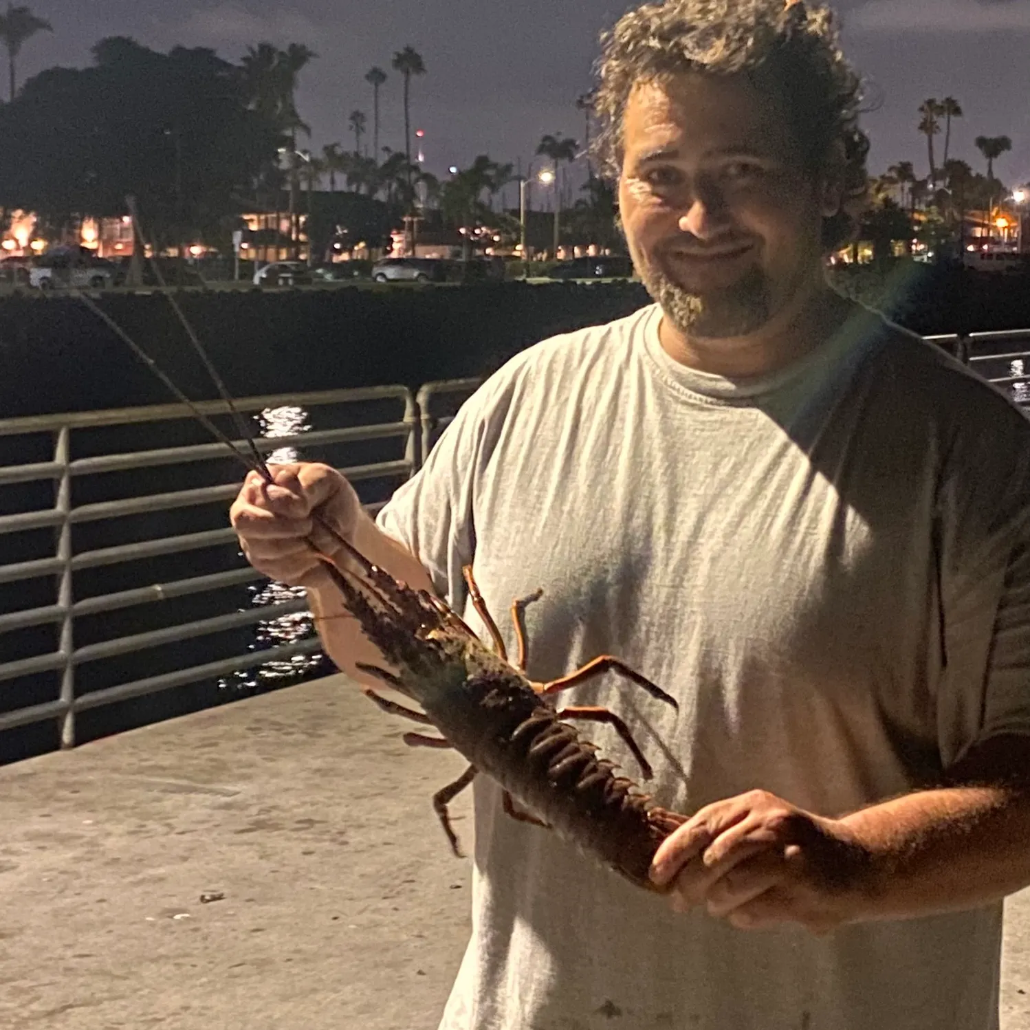 California spiny lobster caught on Fishbrain