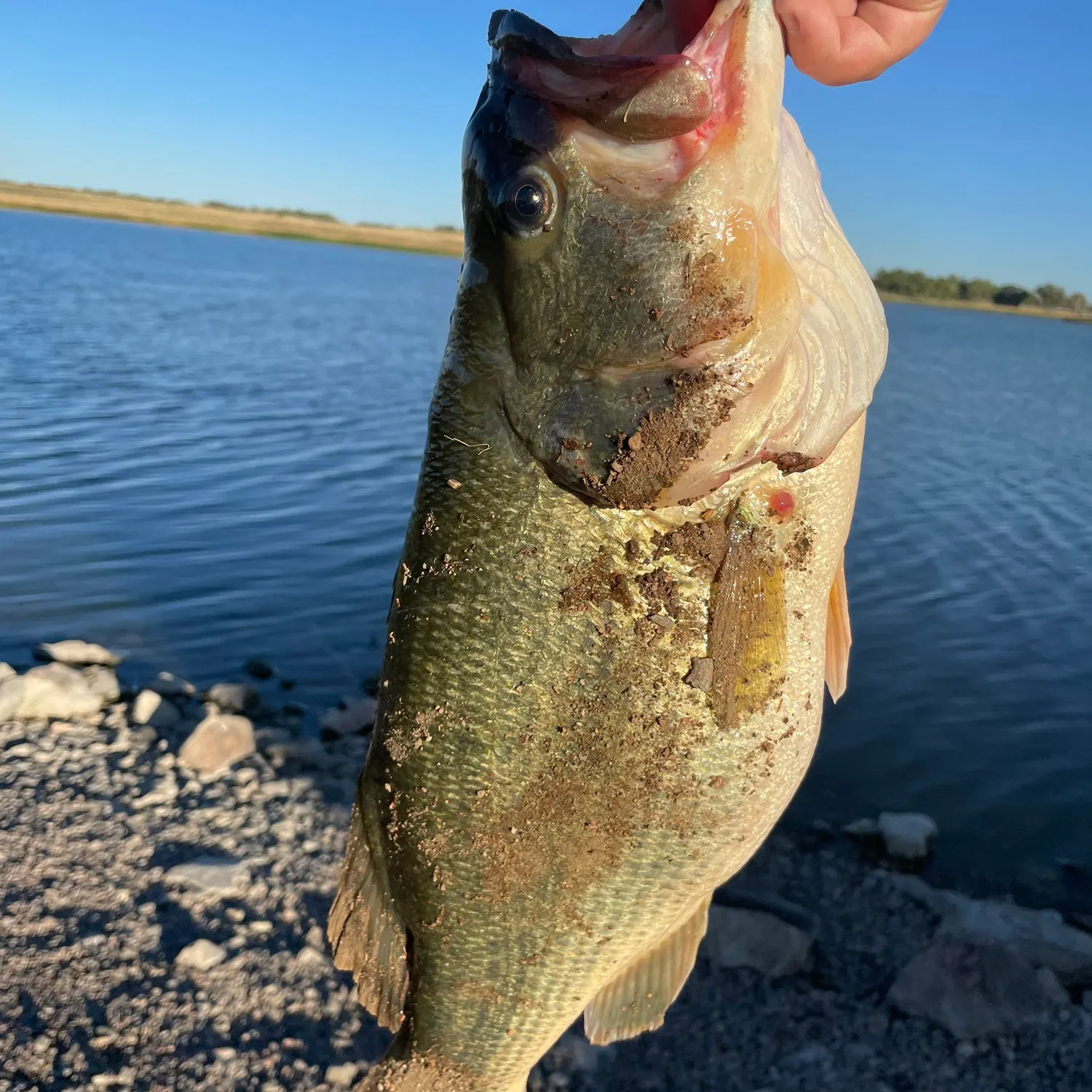 angler catch