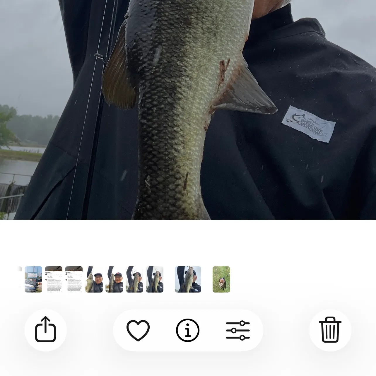 recently logged catches