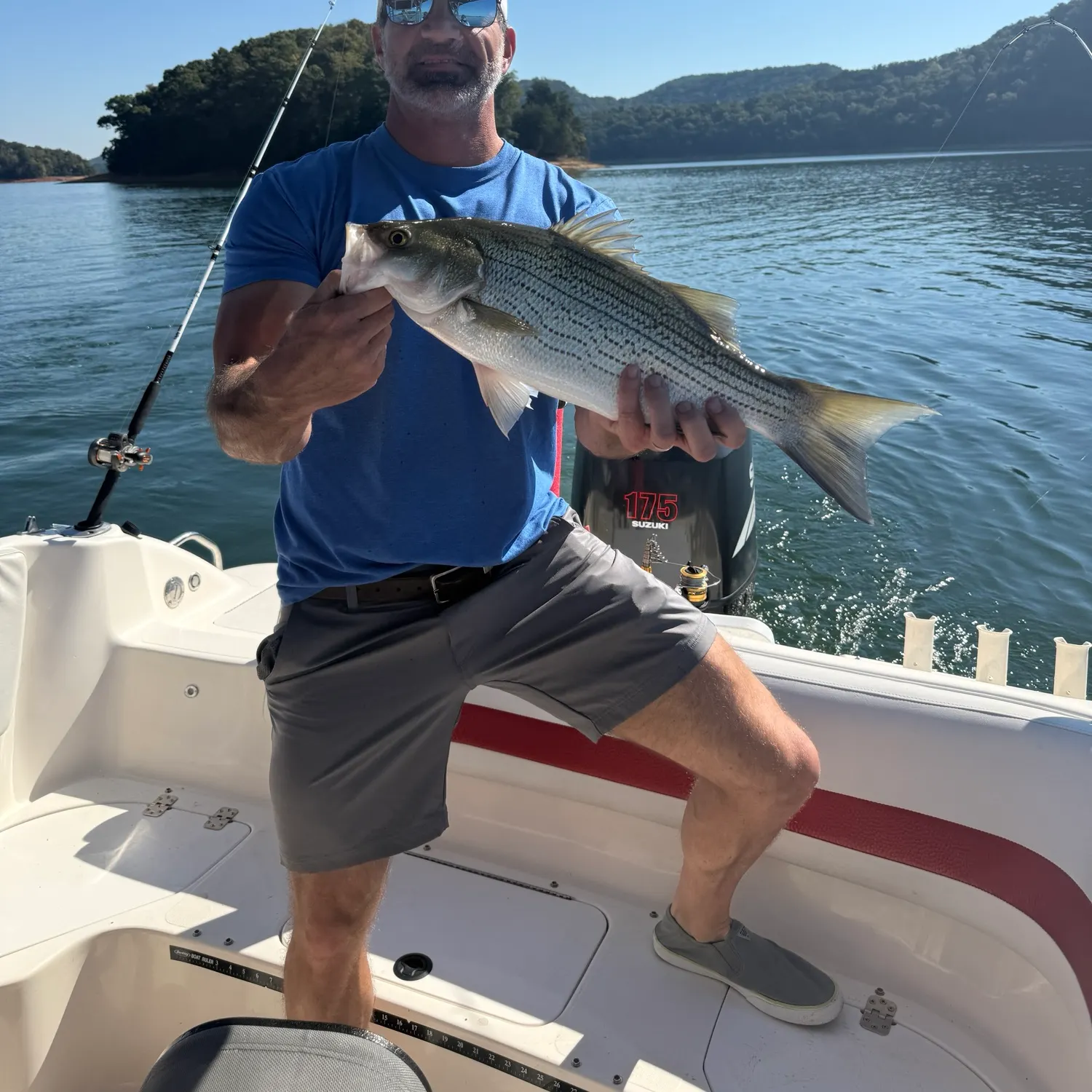 Wiper caught on Fishbrain