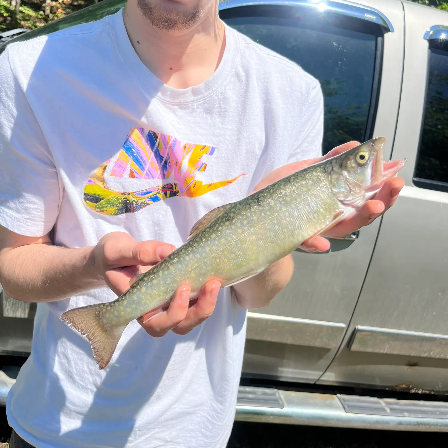 Splake caught on Fishbrain