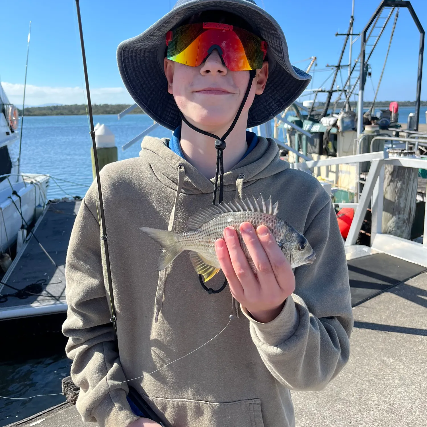 Surf bream caught on Fishbrain
