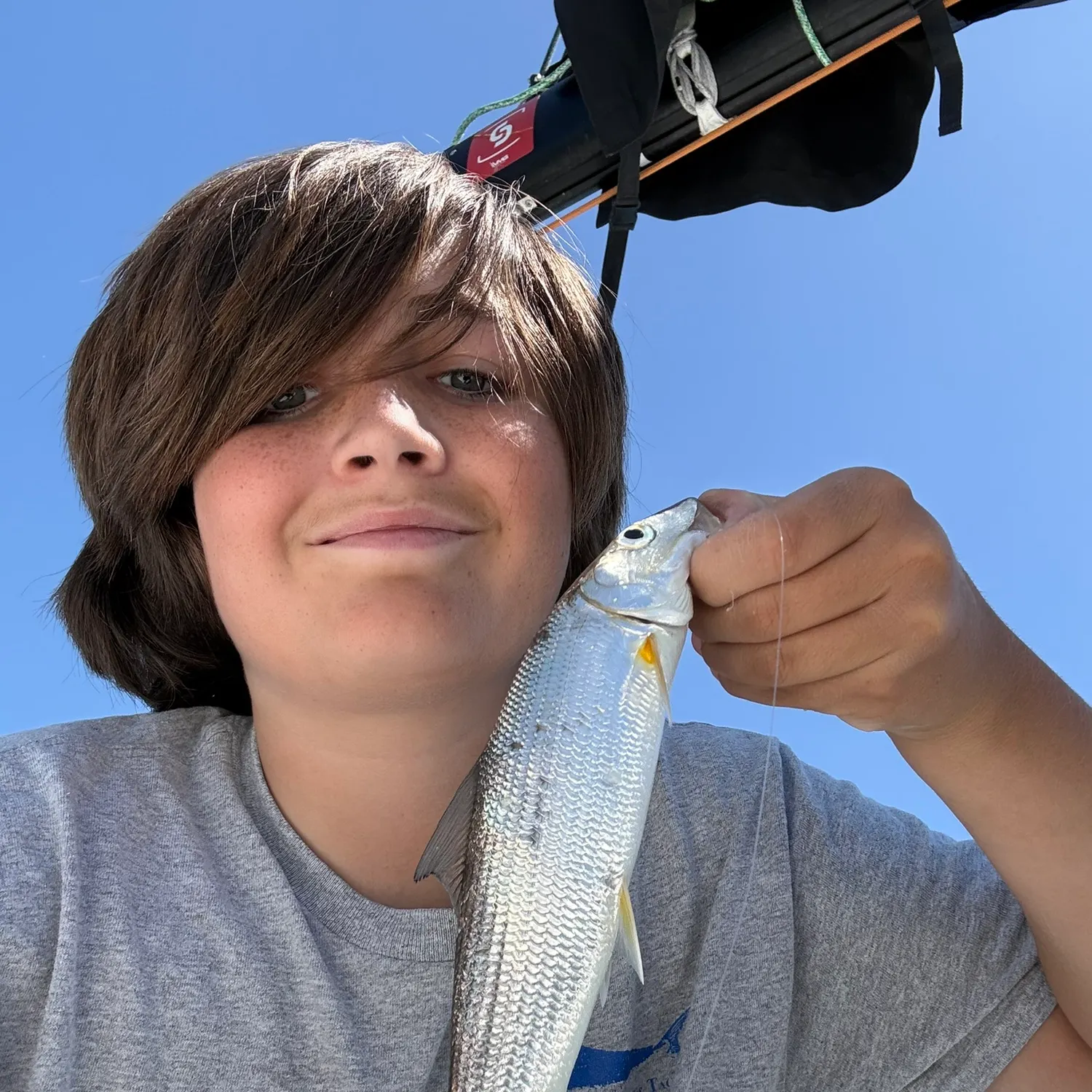 The most recent Cortez bonefish catches on Fishbrain