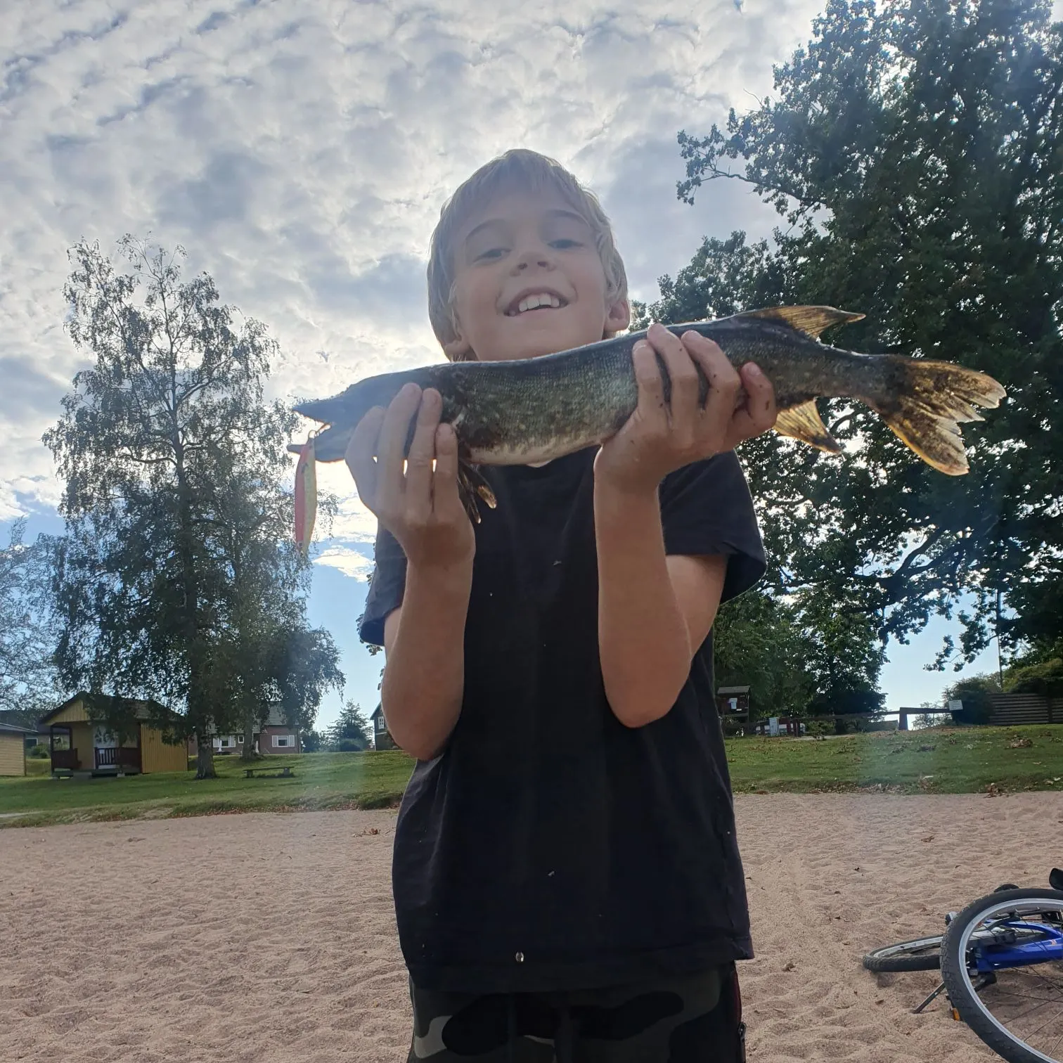 Northern pike caught on Fishbrain