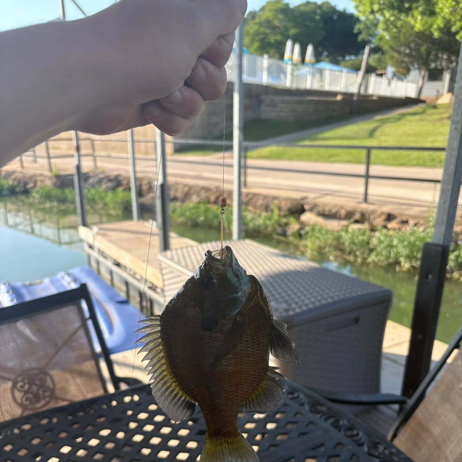 catch