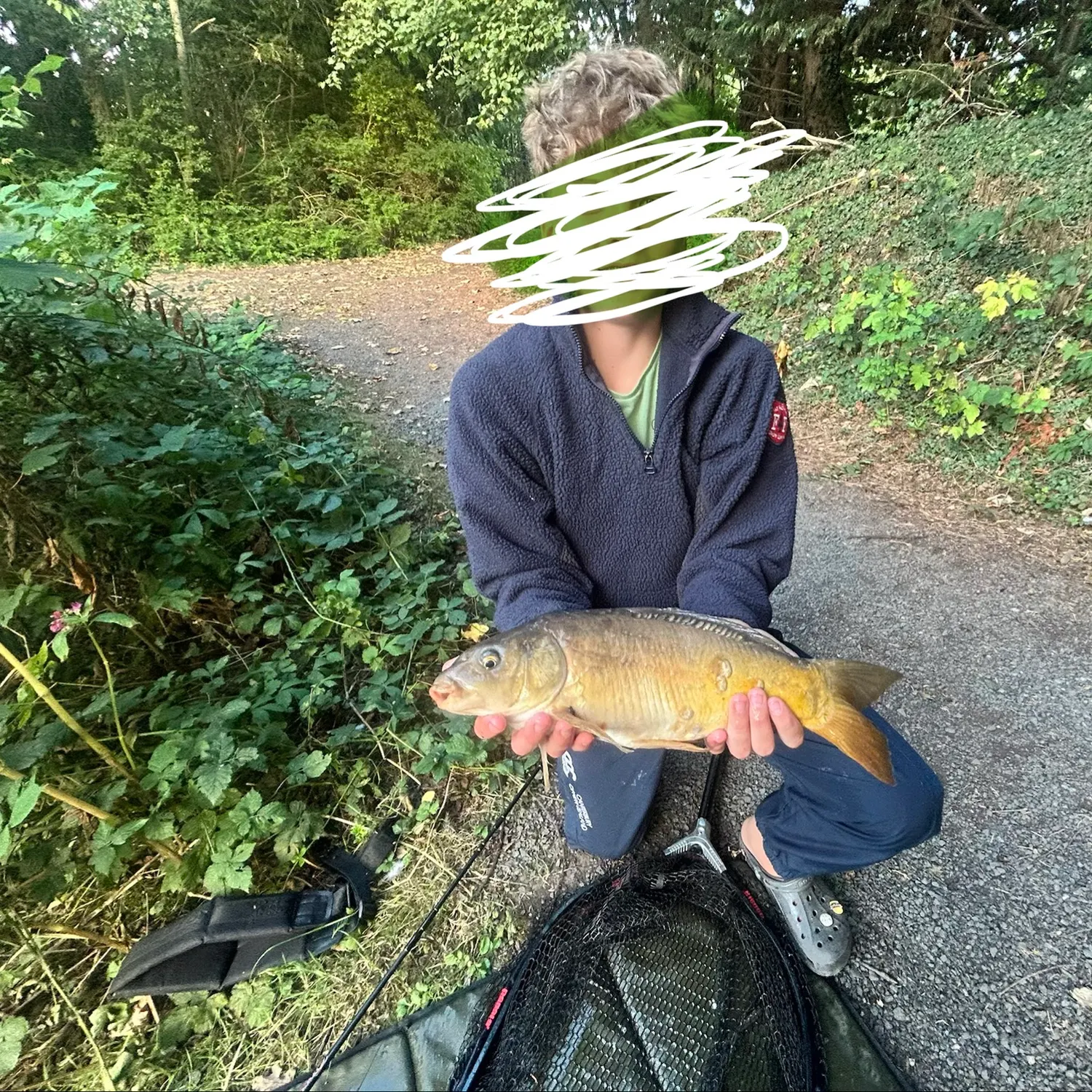 Mirror carp caught on Fishbrain