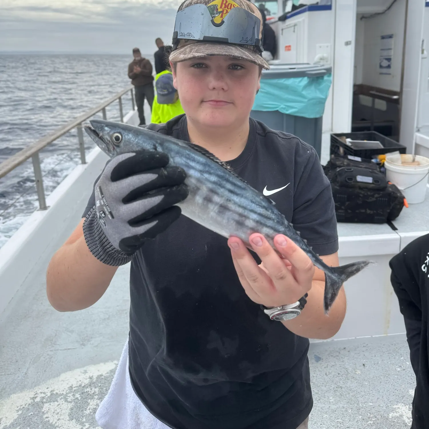 Pacific bonito caught on Fishbrain