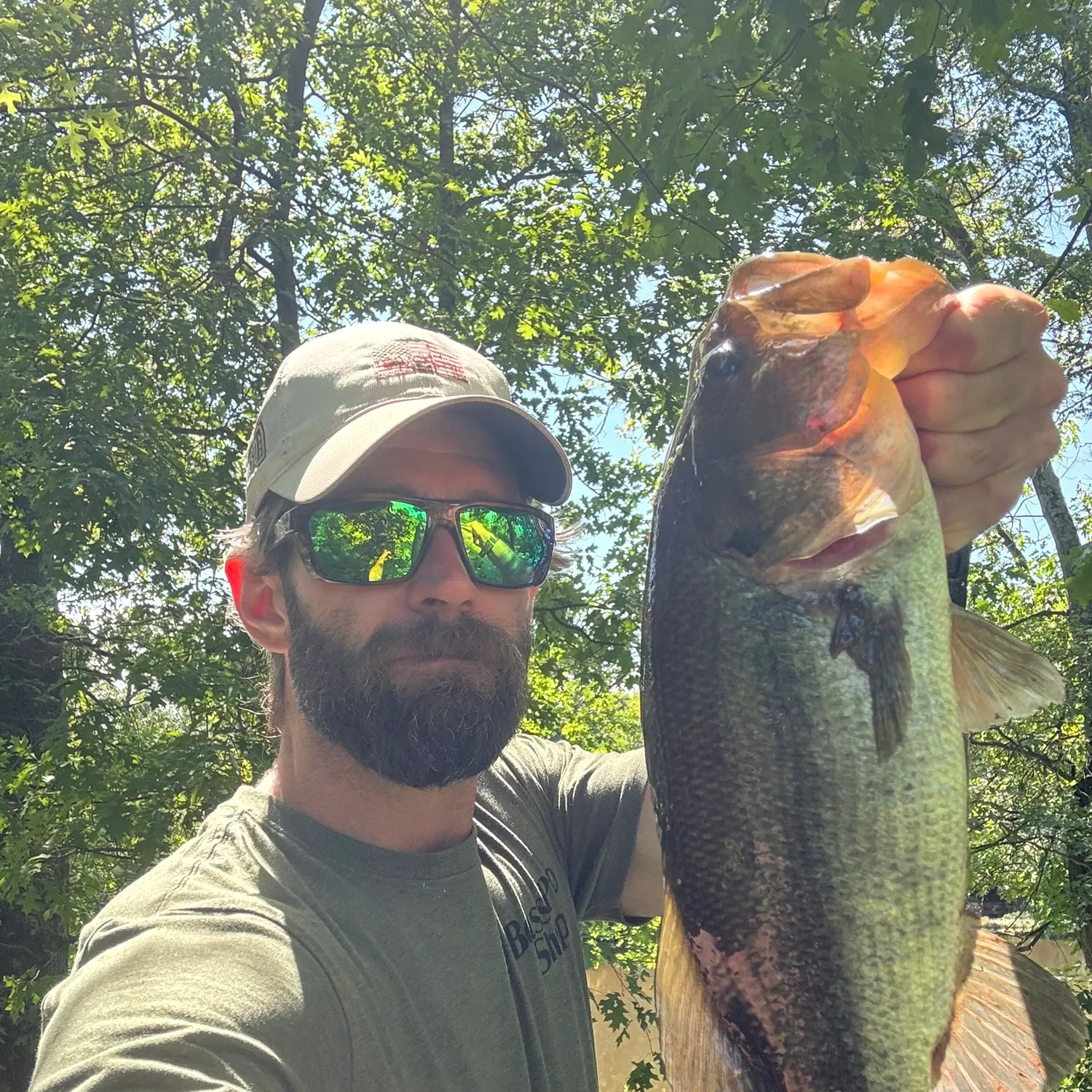 Largemouth bass caught on Fishbrain