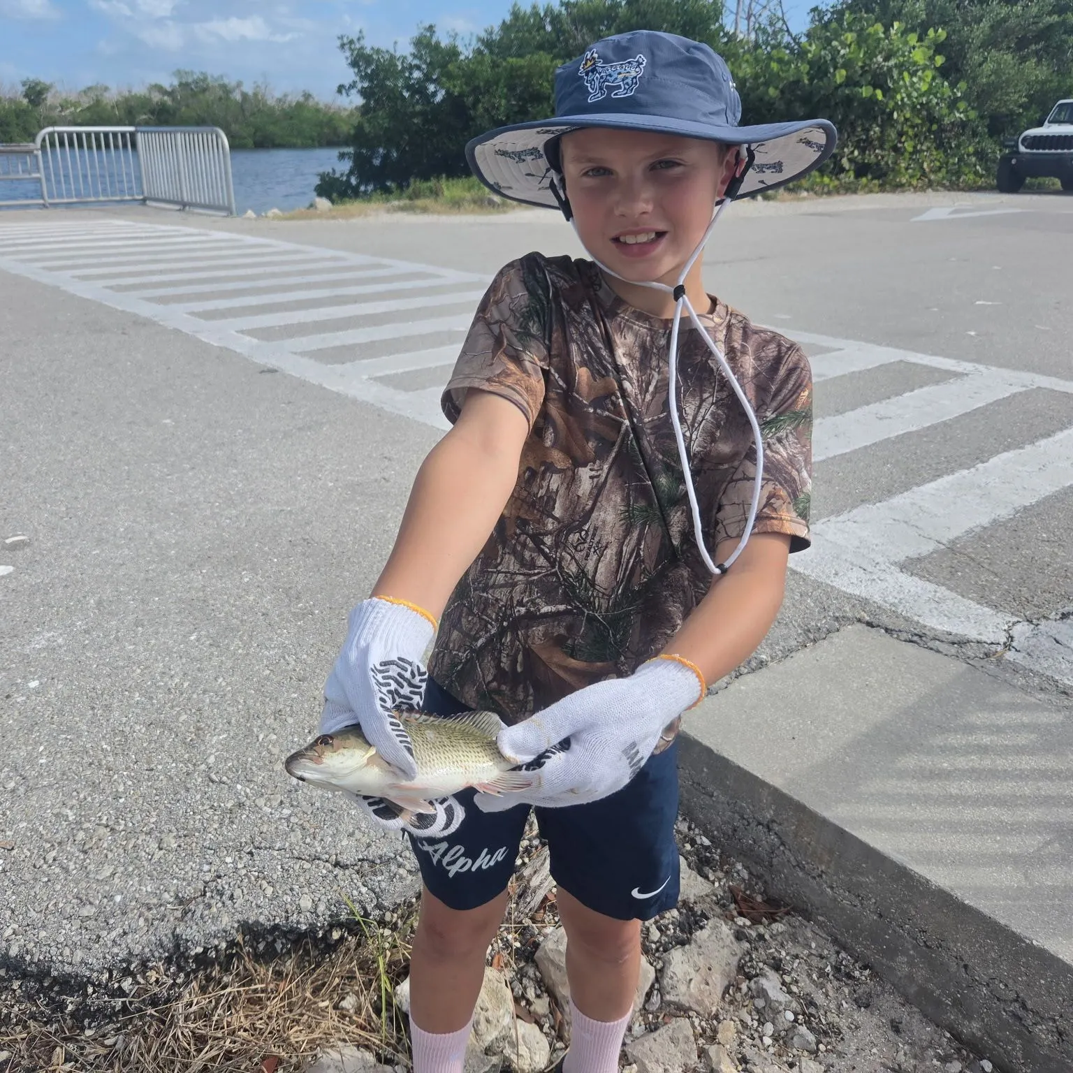 Mangrove snapper caught on Fishbrain