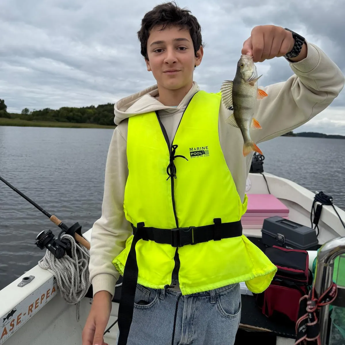 European perch caught on Fishbrain