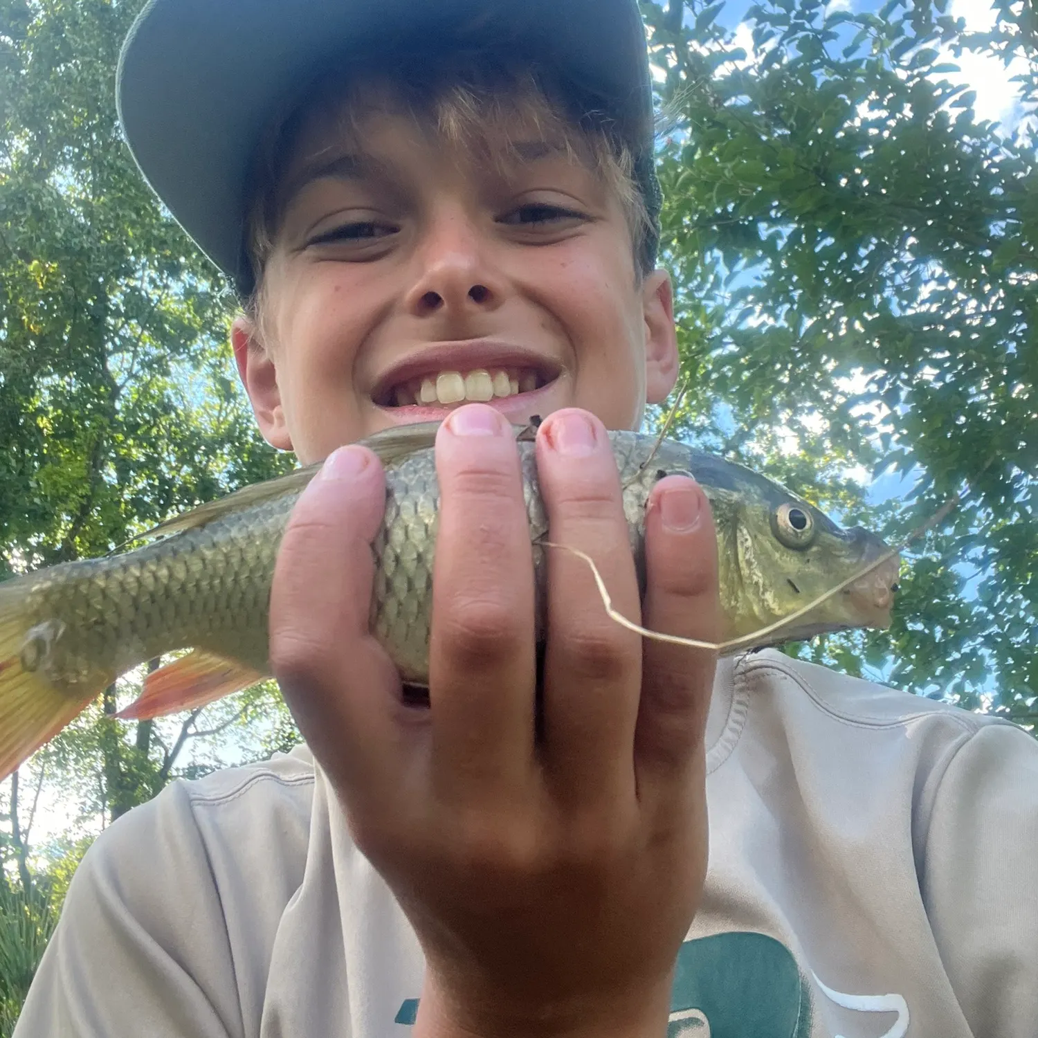 Common carp caught on Fishbrain