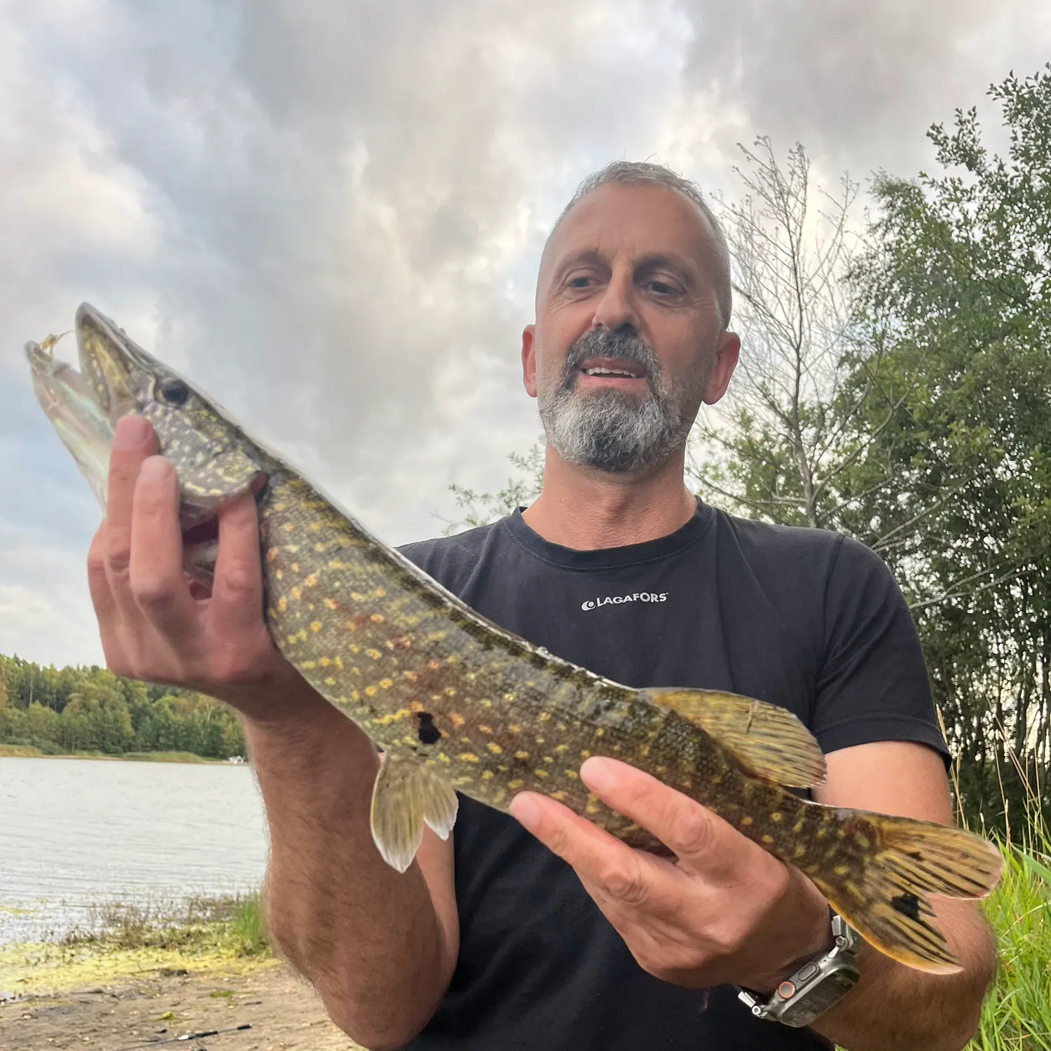 Northern pike caught on Fishbrain
