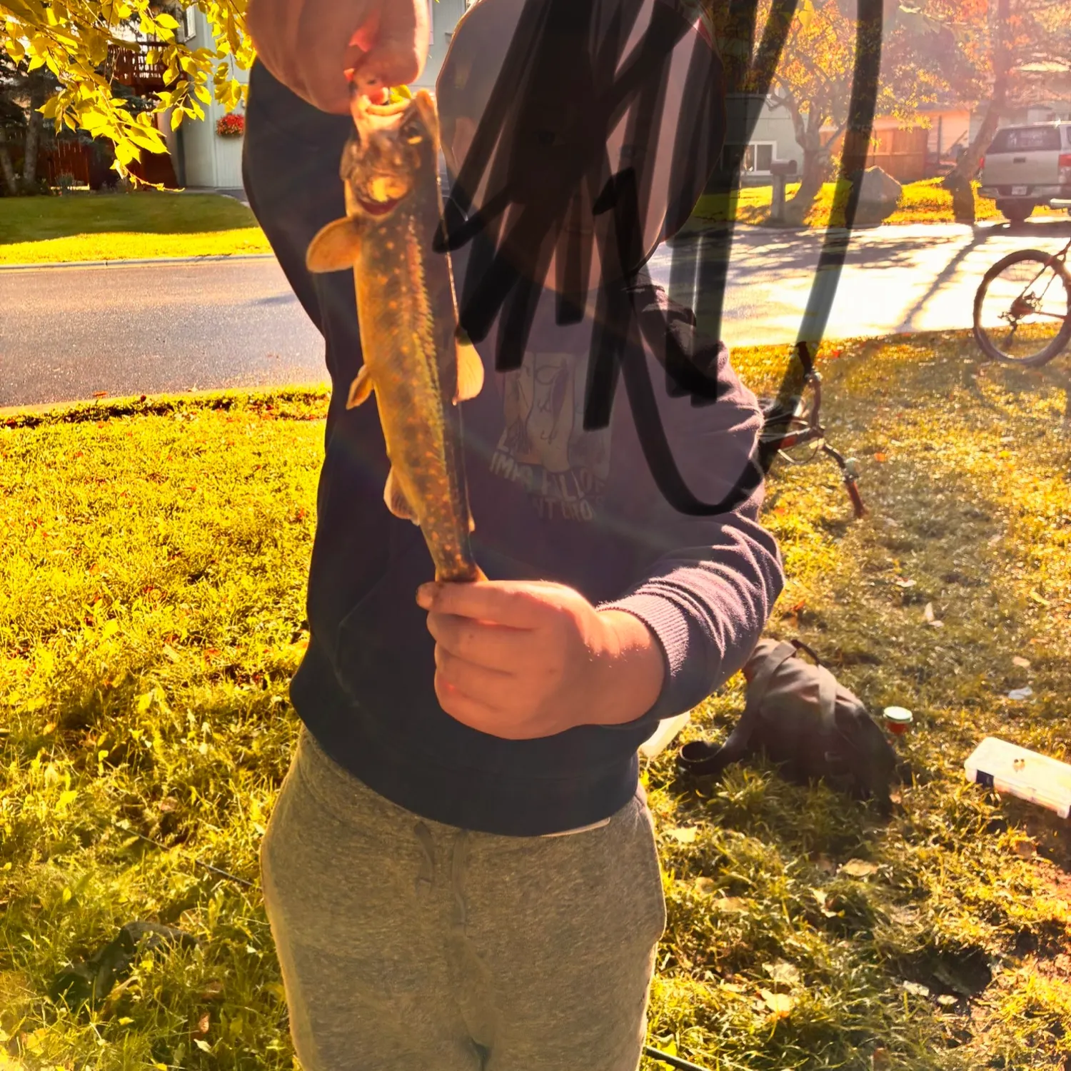 Fish caught on Fishbrain