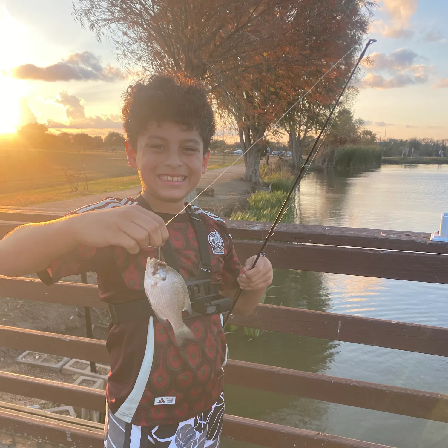 The most recent Silver perch catches on Fishbrain