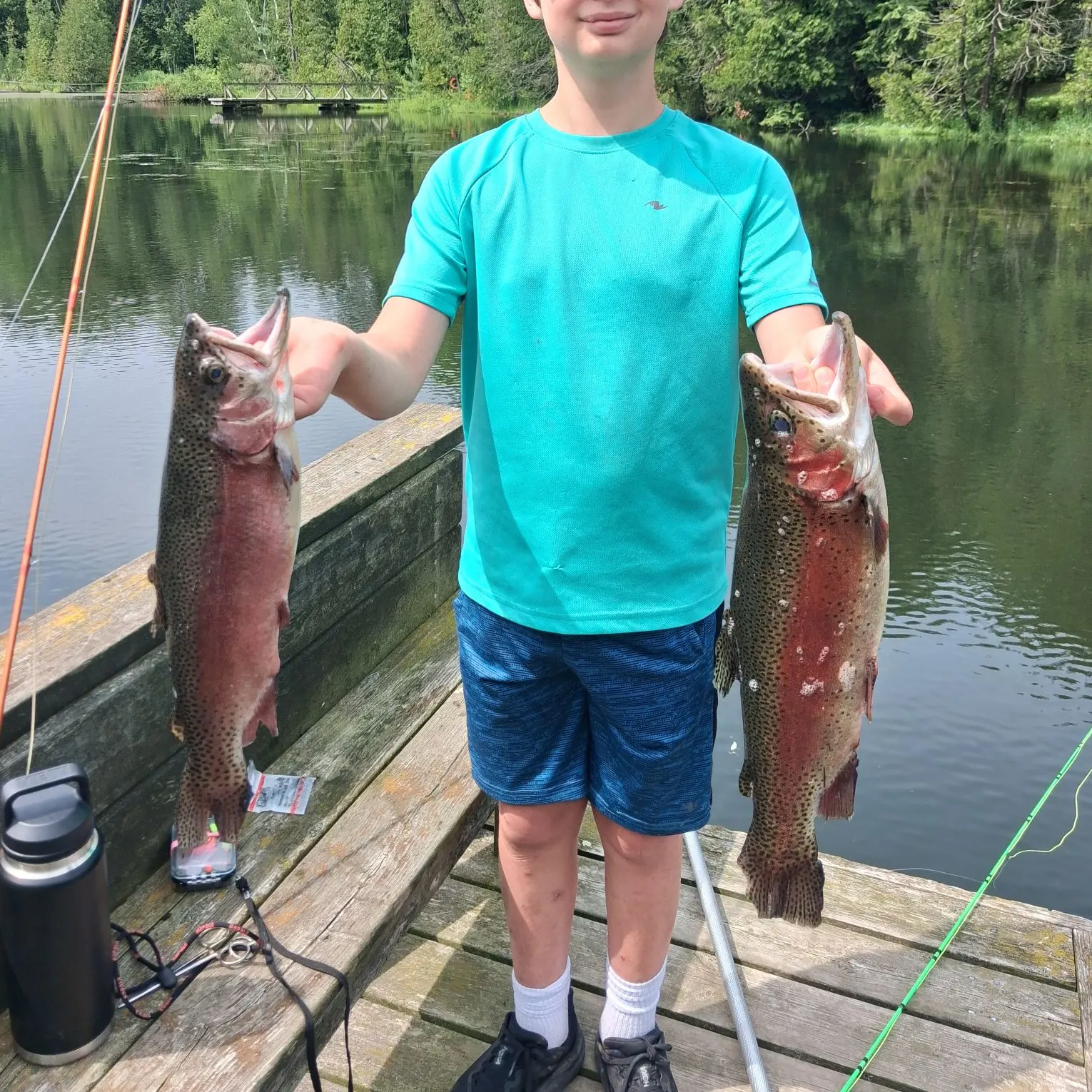Rainbow trout caught on Fishbrain