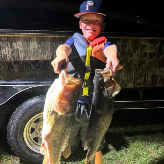 Largemouth bass caught on Fishbrain