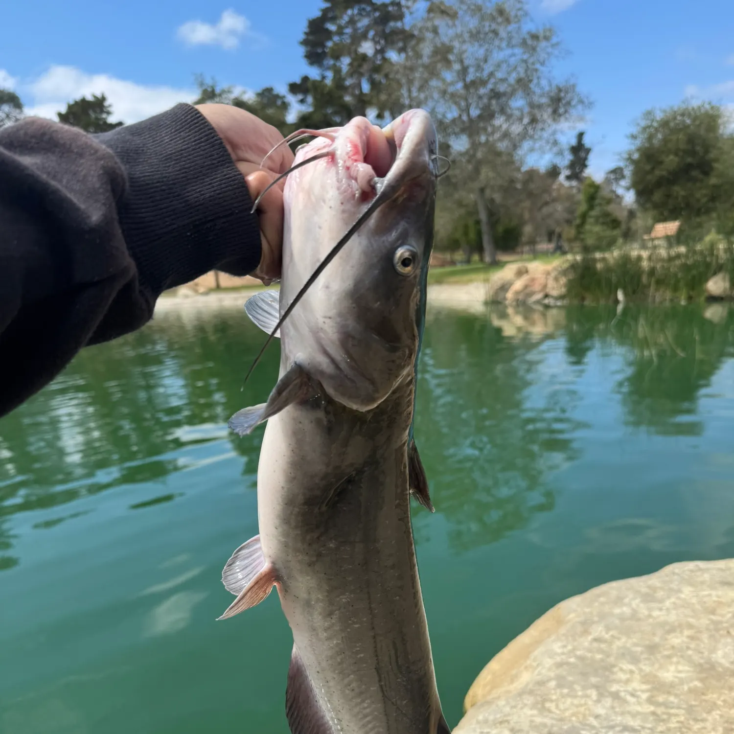 catch