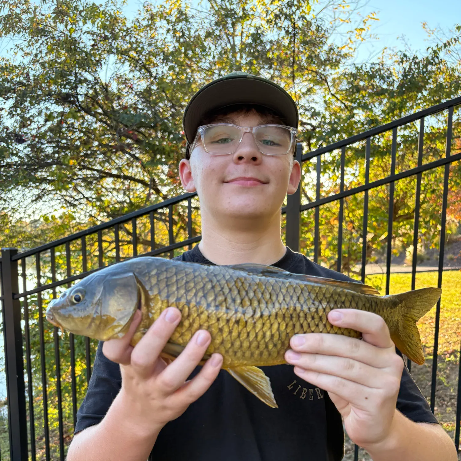 Common carp caught on Fishbrain