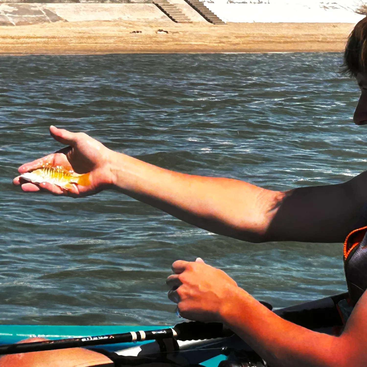 The most recent Yellow snapper catches on Fishbrain
