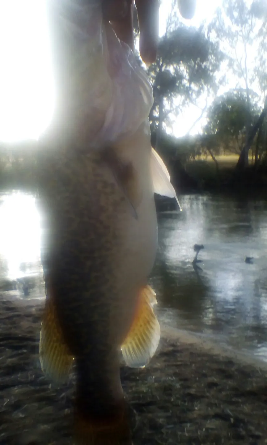 Post image from Lionel74