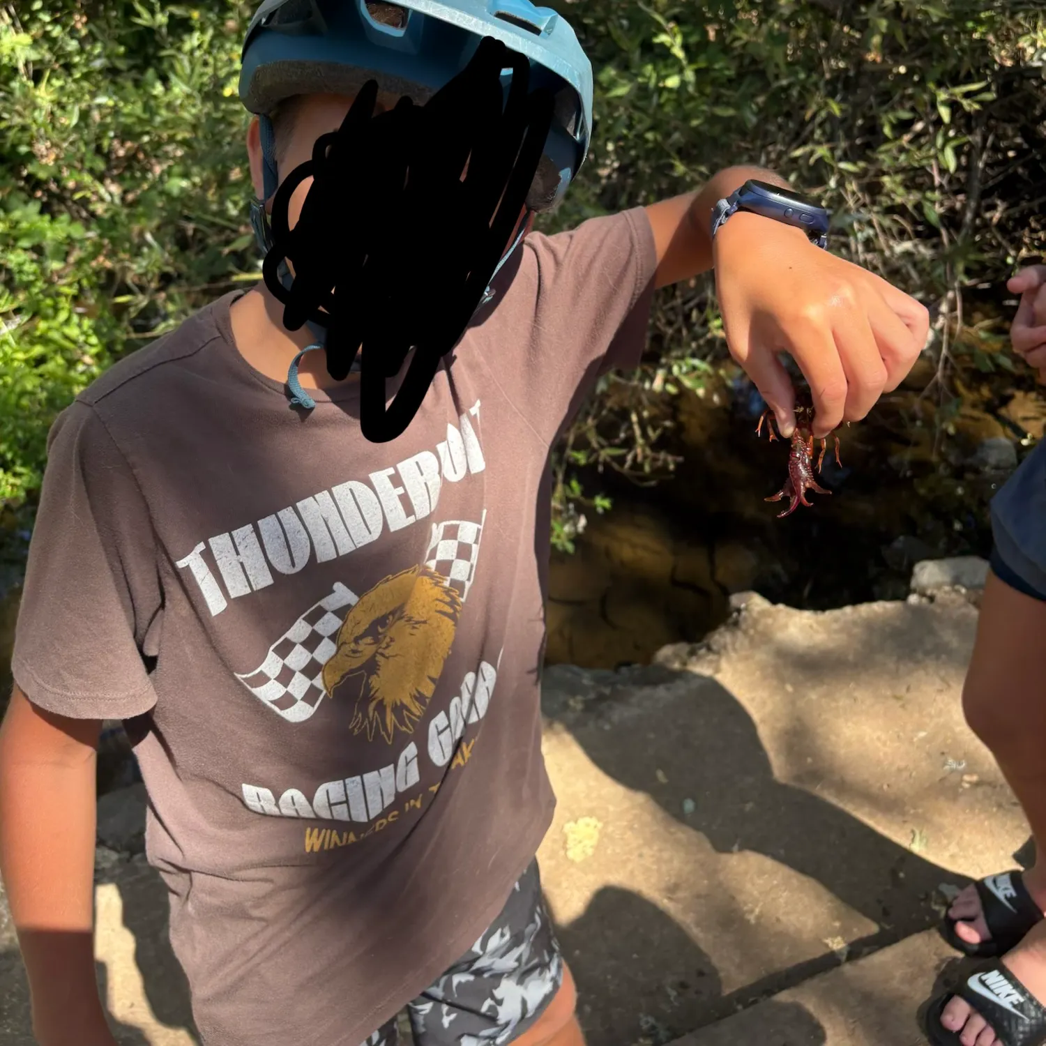 Red swamp crayfish caught on Fishbrain