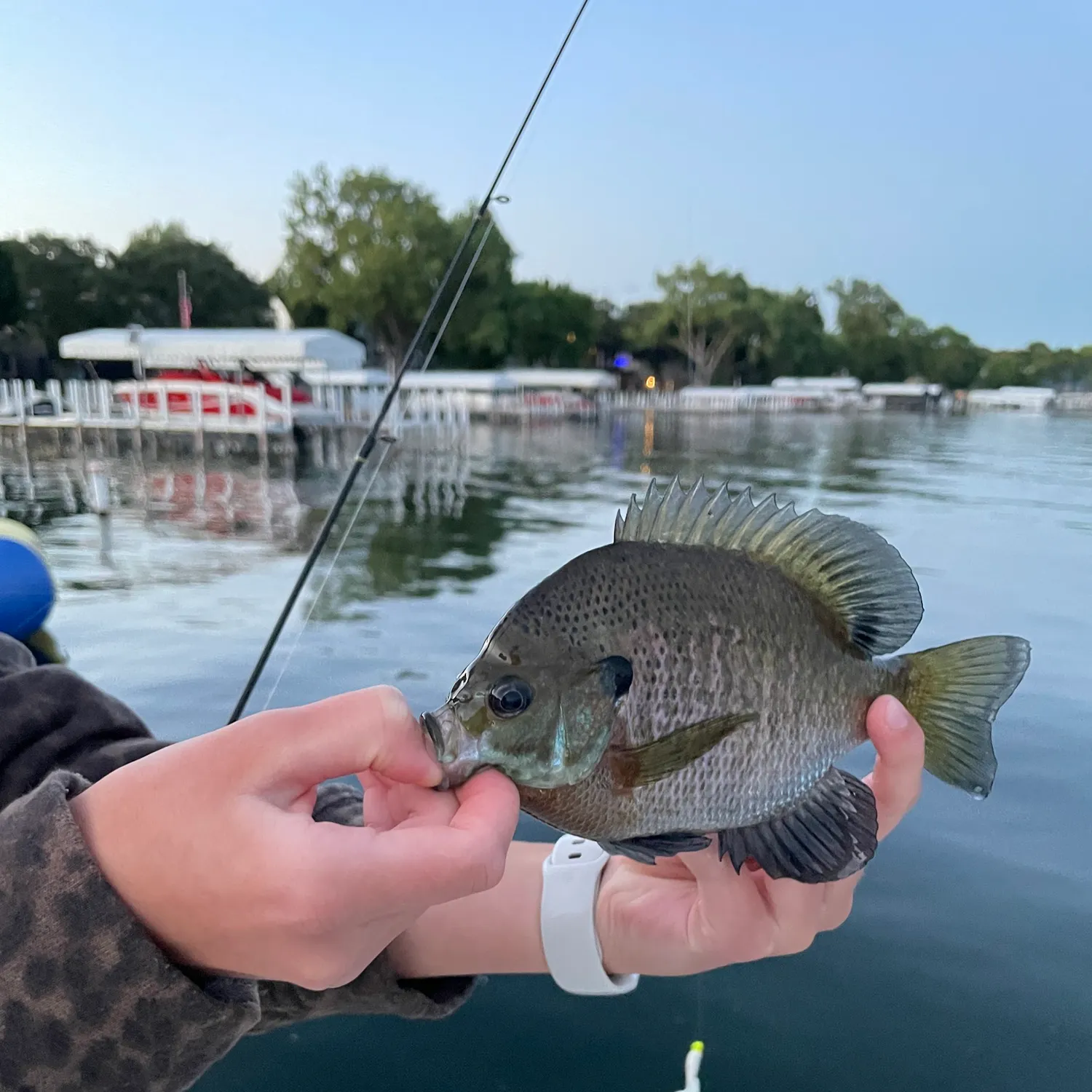 catch