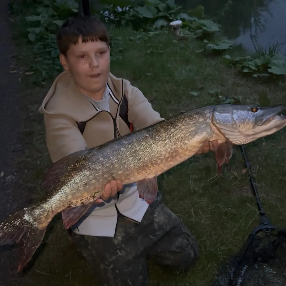 Northern pike caught on Fishbrain